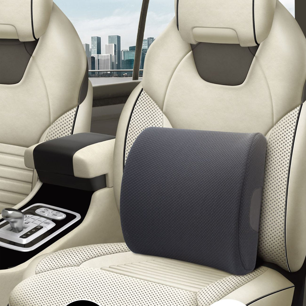 Perna Lombara Neagra pentru Masina